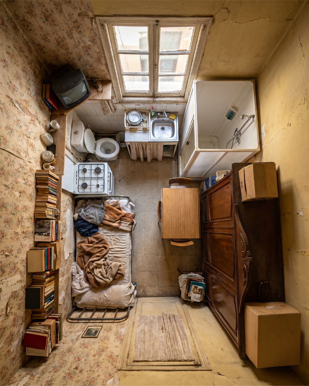 problema de la vivienda ia endorfina creativa