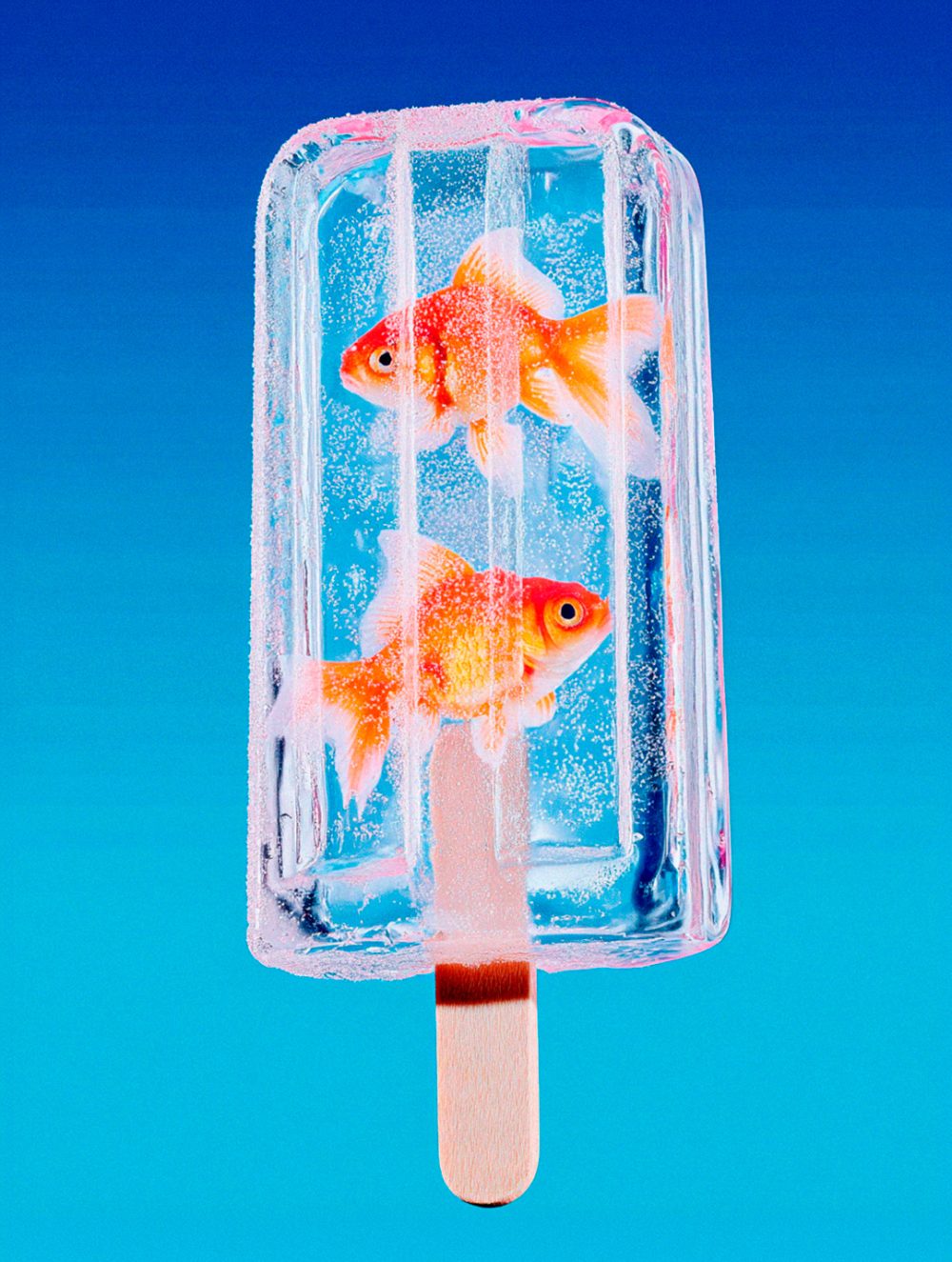 direccion creativa con ia endorfina lab polo peces